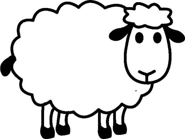 Sheep
