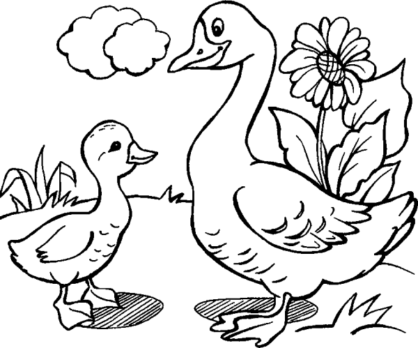 Goose and Gosling