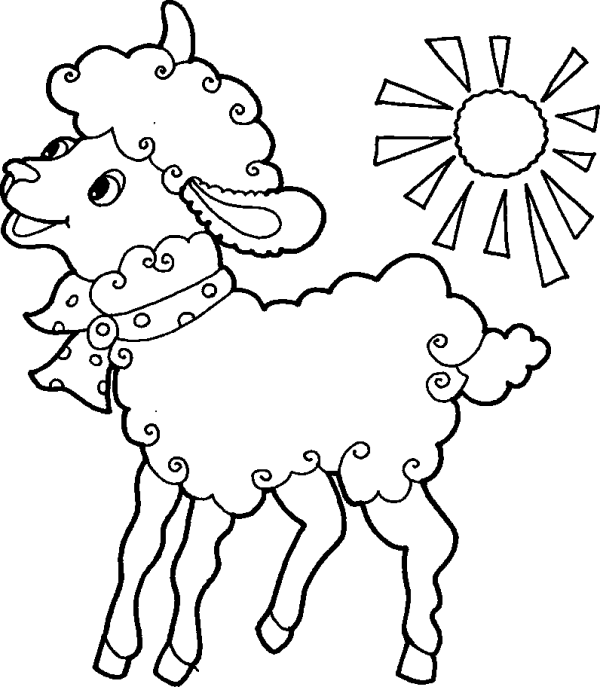 Cheerful Sheep and the Sun