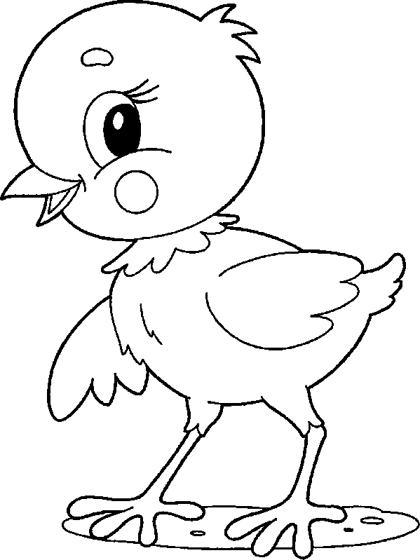 Little Chick