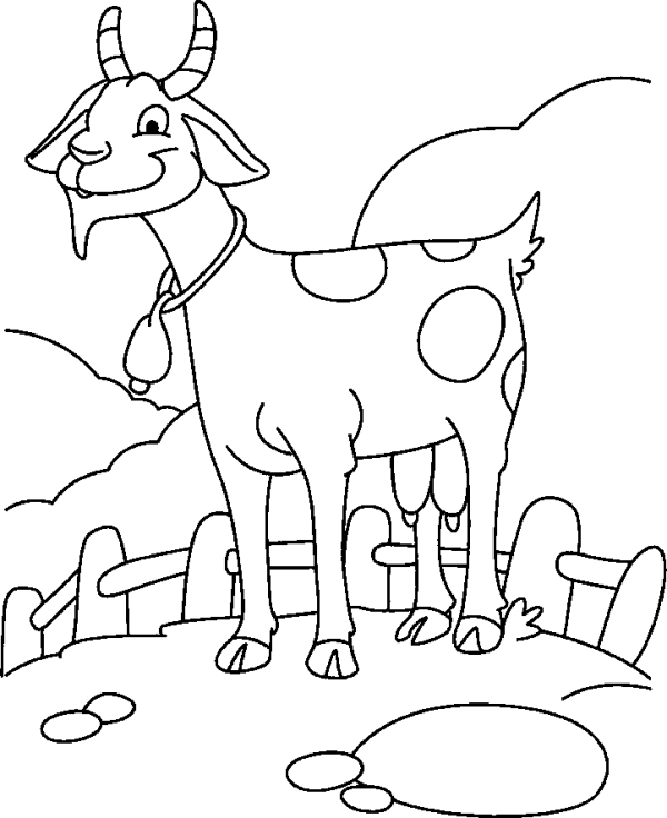 Goat by the Fence