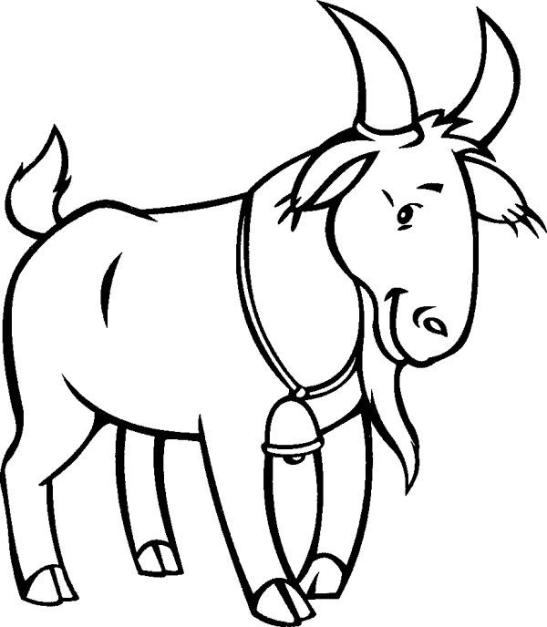 Goat with a Bell
