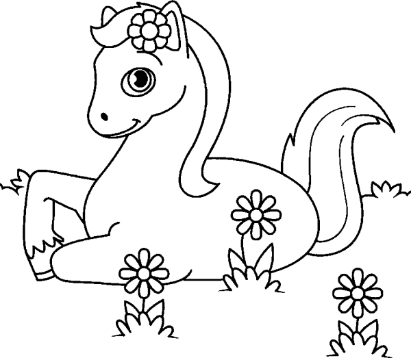 Horse Lying on a Flower Meadow