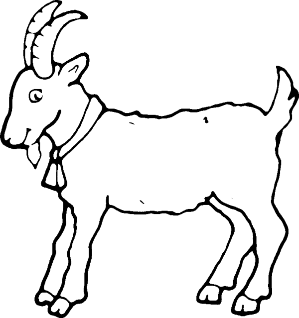 Goat with a Bell