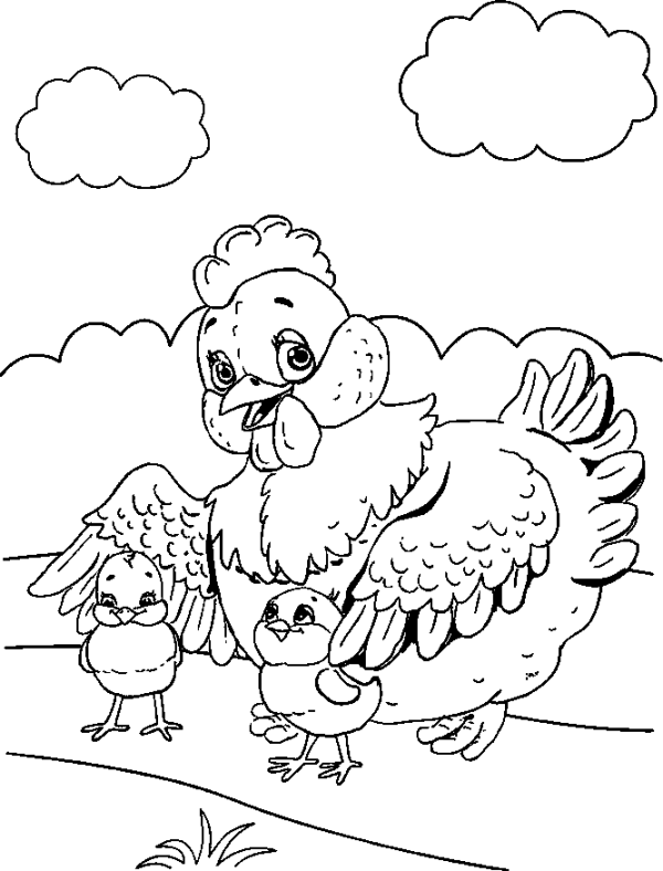 Hen and Two Chicks