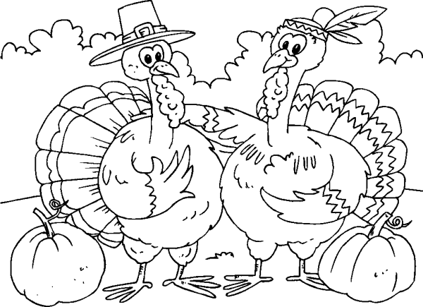 Tom Turkey and Hen Turkey