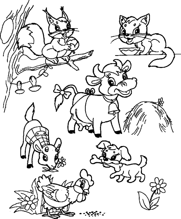 Pets and Squirrel
