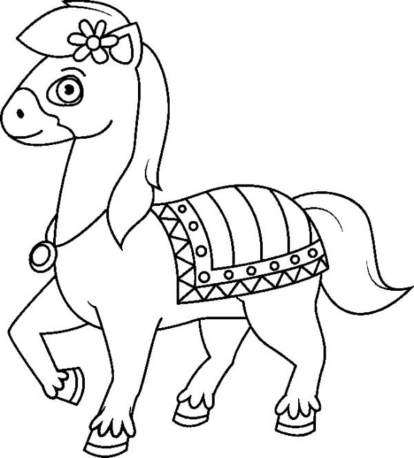 Horse with a Flower and a Cloak