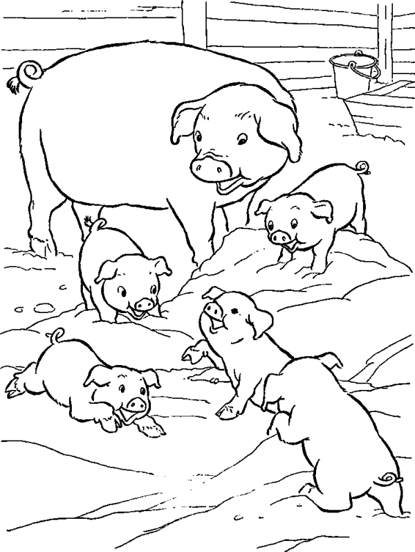 Pig and Piglets in the Pen