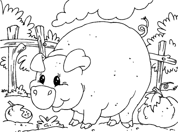 Big Pig in the Pen
