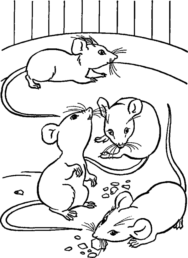 Mice