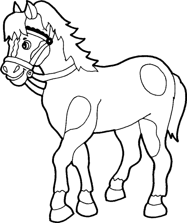 Harnessed Horse