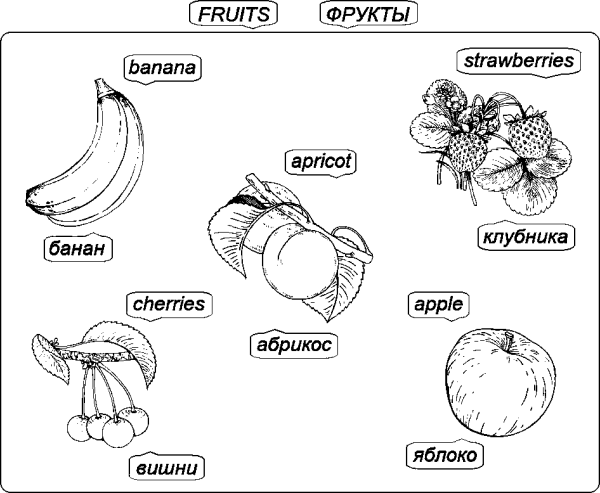 Learning English 14