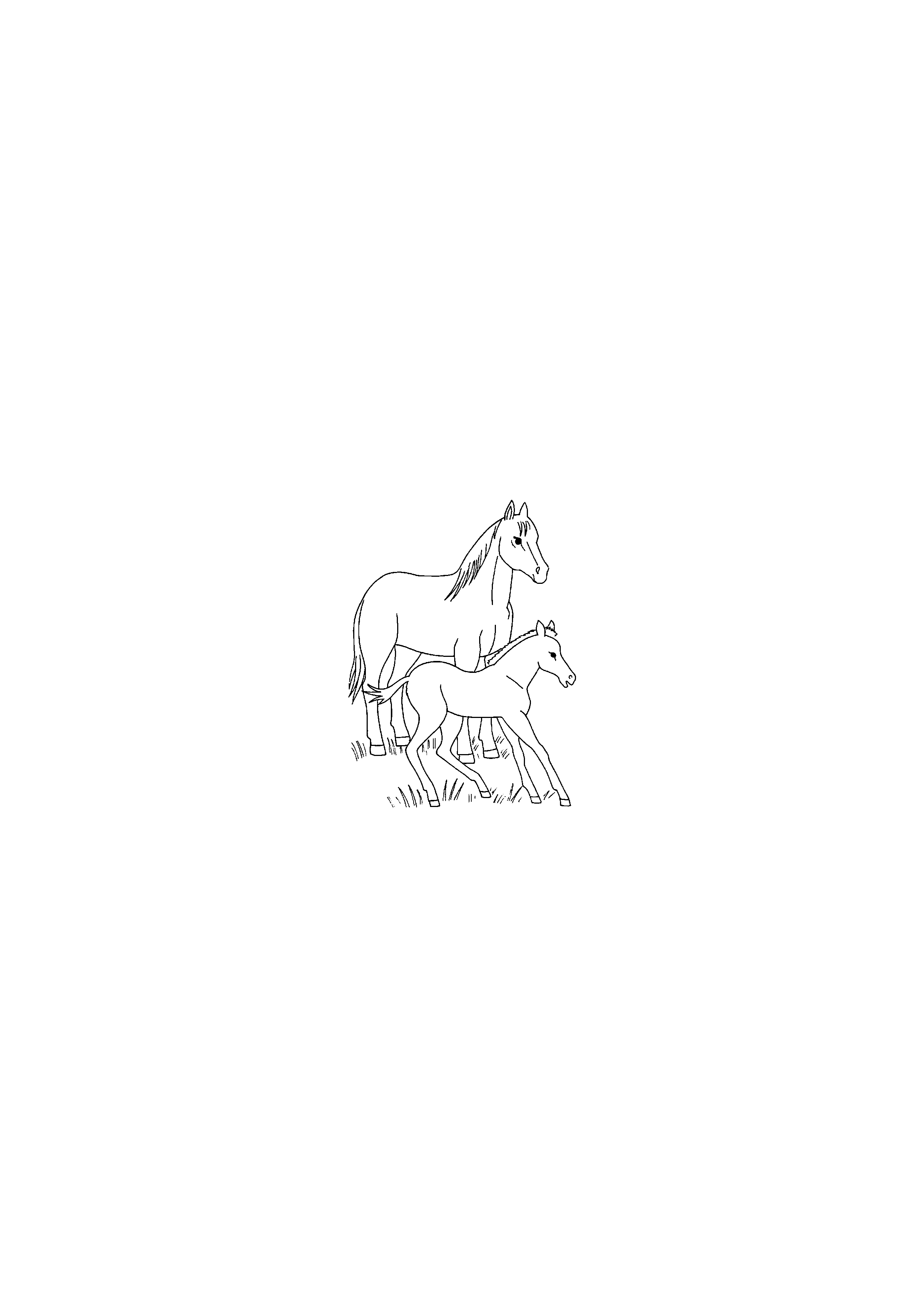 The horse and foal are frolicking in the meadow