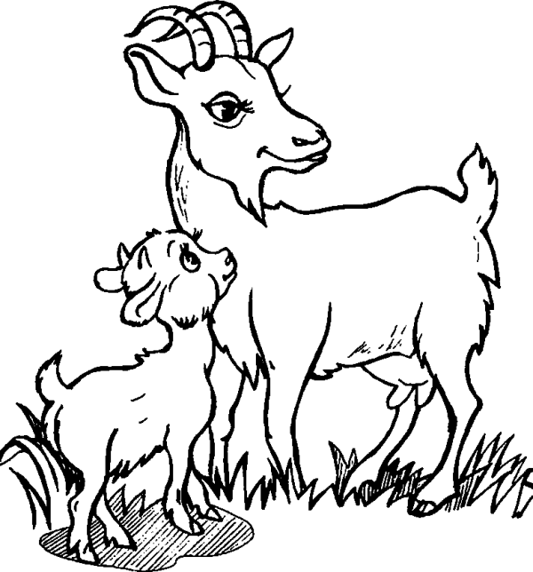 Goat and Kid on the Meadow