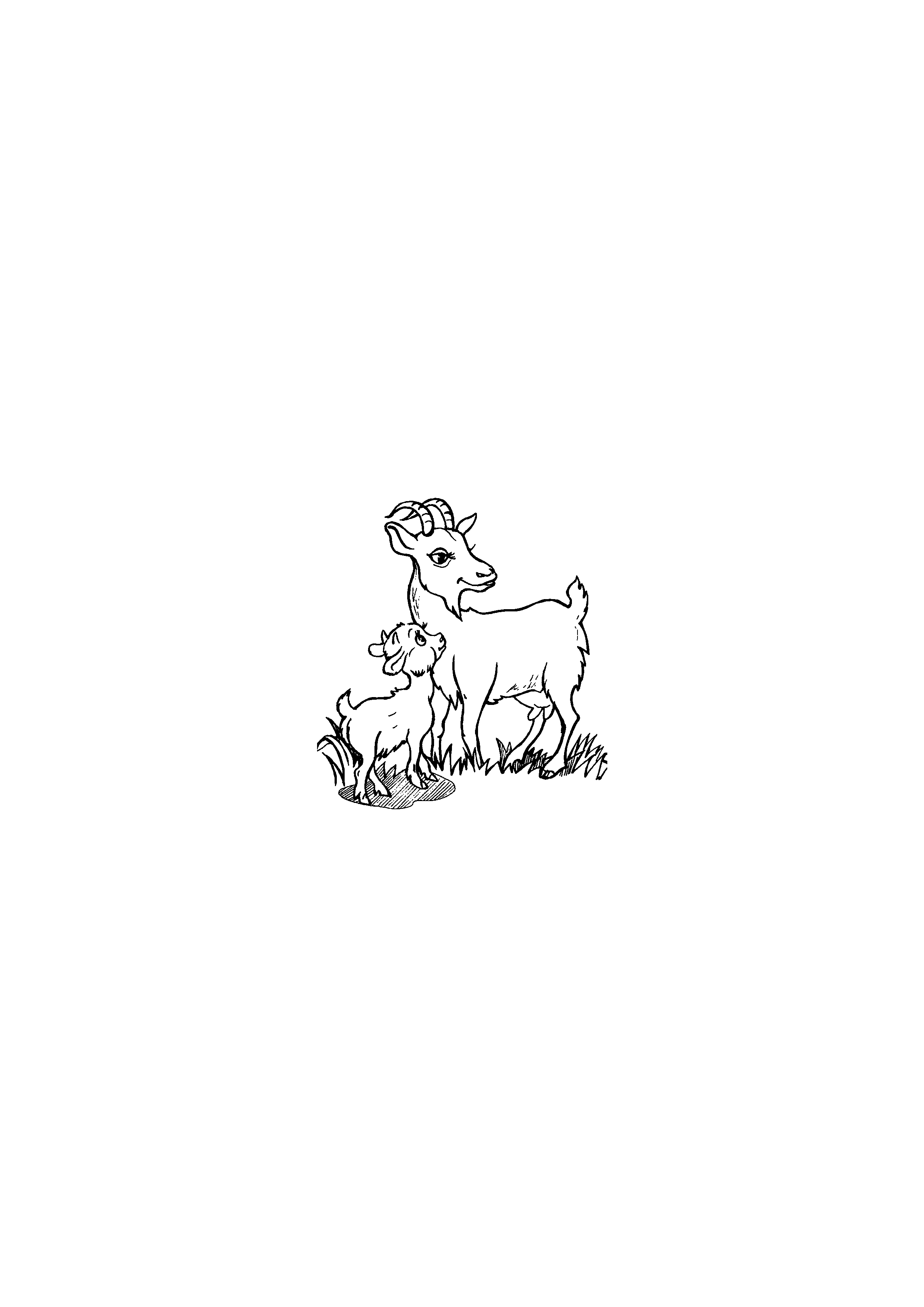 Goat and Kid on the Meadow