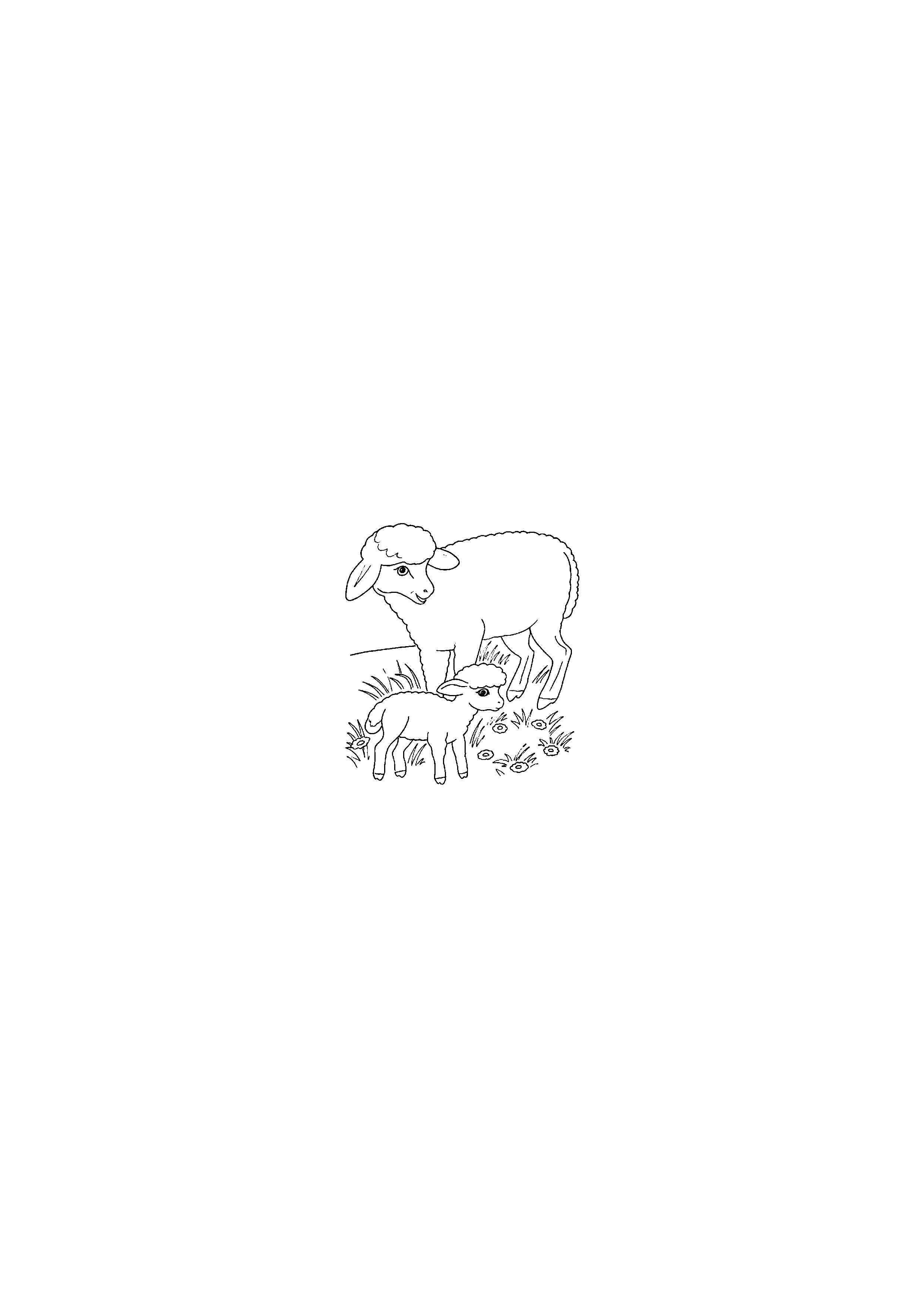 Sheep and Lamb in the Meadow