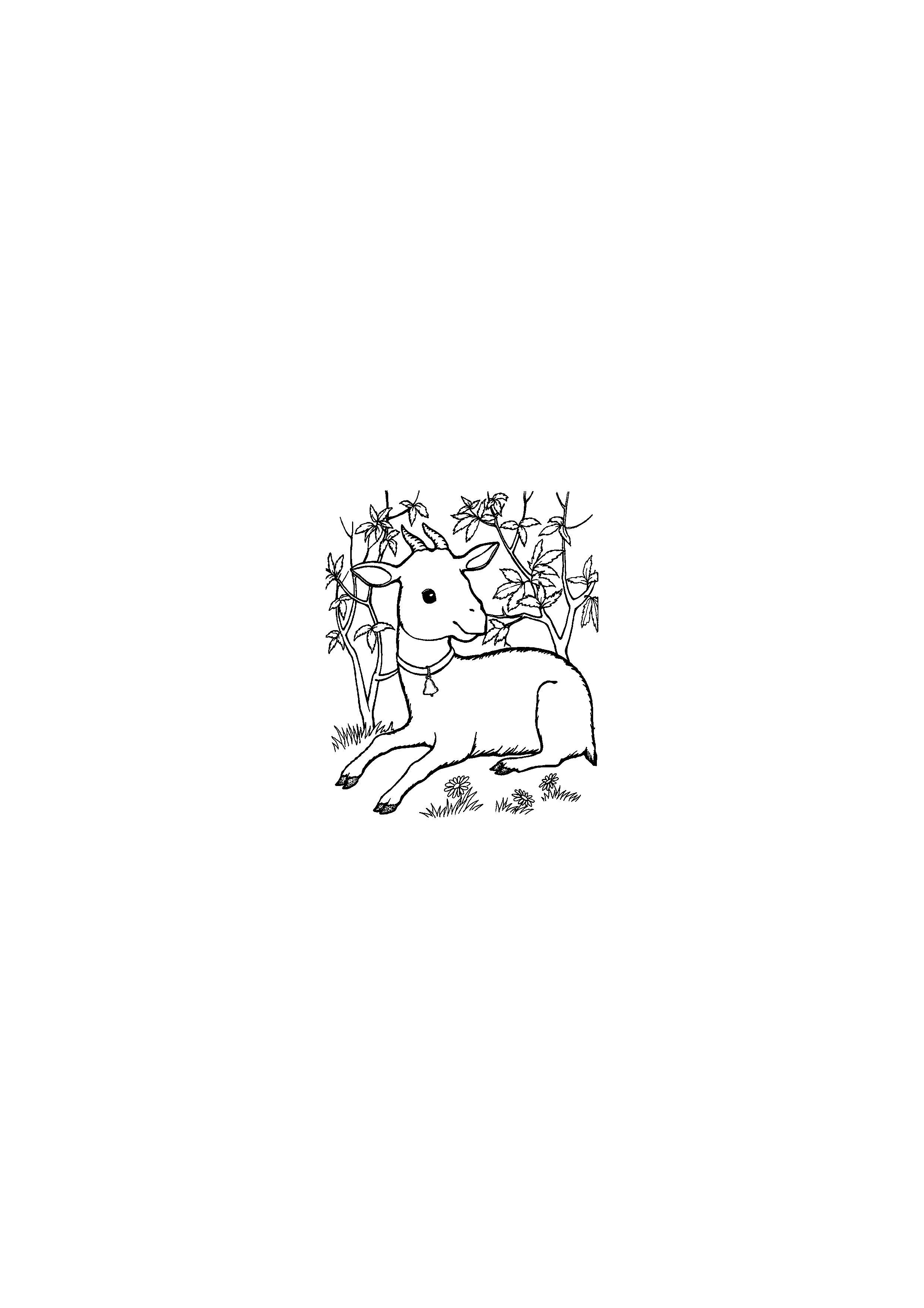 Cute Lamb Lying on the Meadow