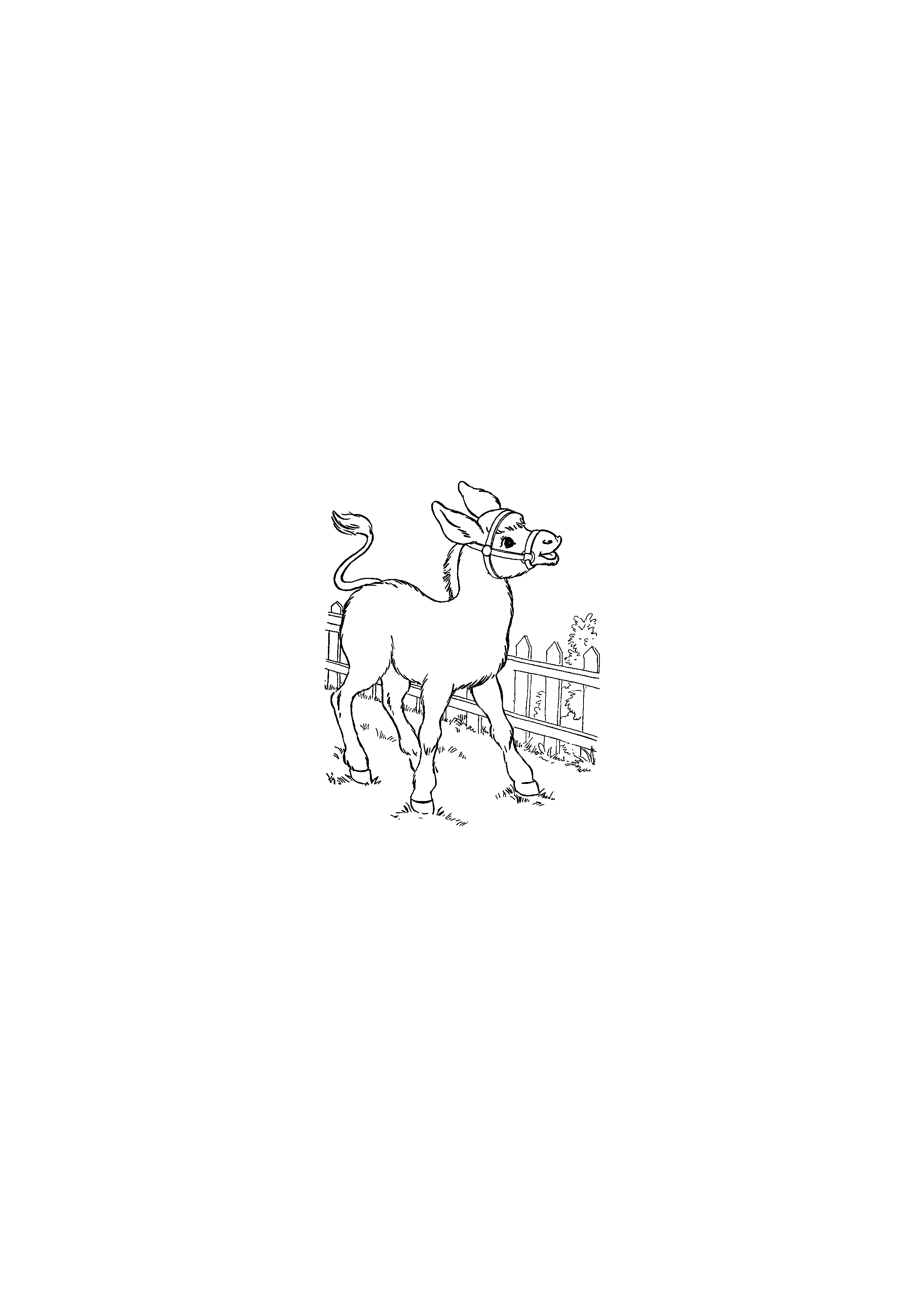 Donkey by the Fence
