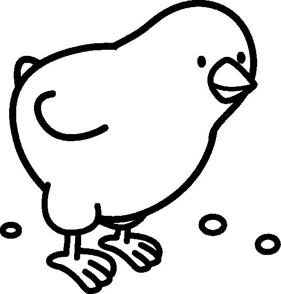 Chick