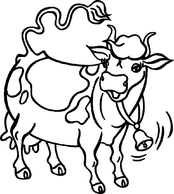Spotted Cow with a Bell