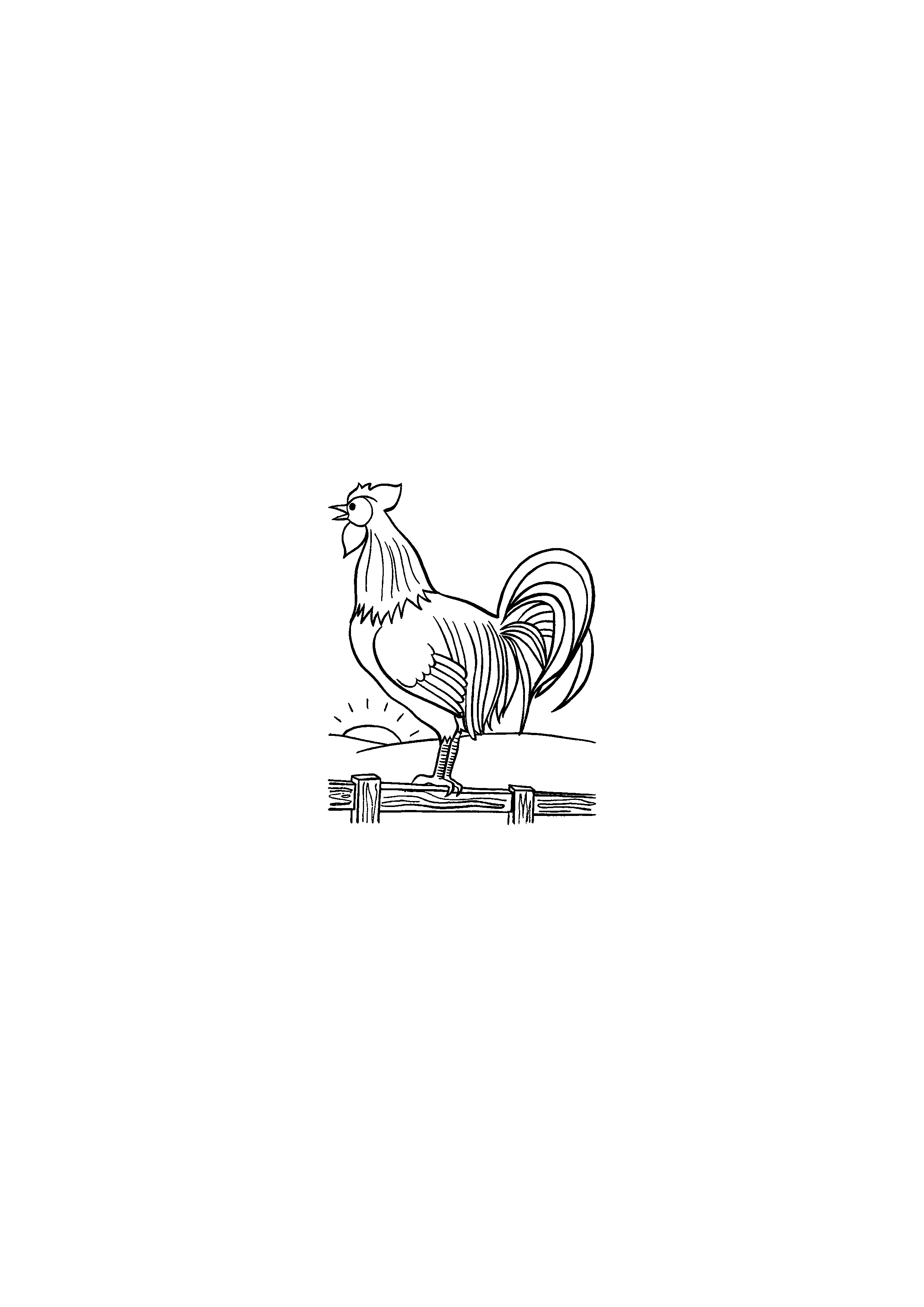 Rooster Crows on the Fence