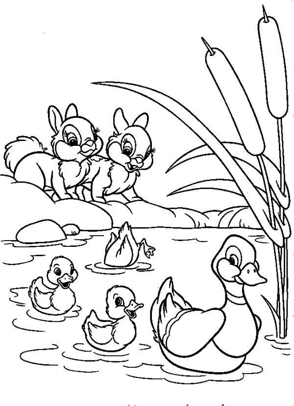 Duck with Ducklings on the Lake