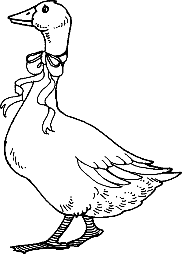 Goose with a Bow