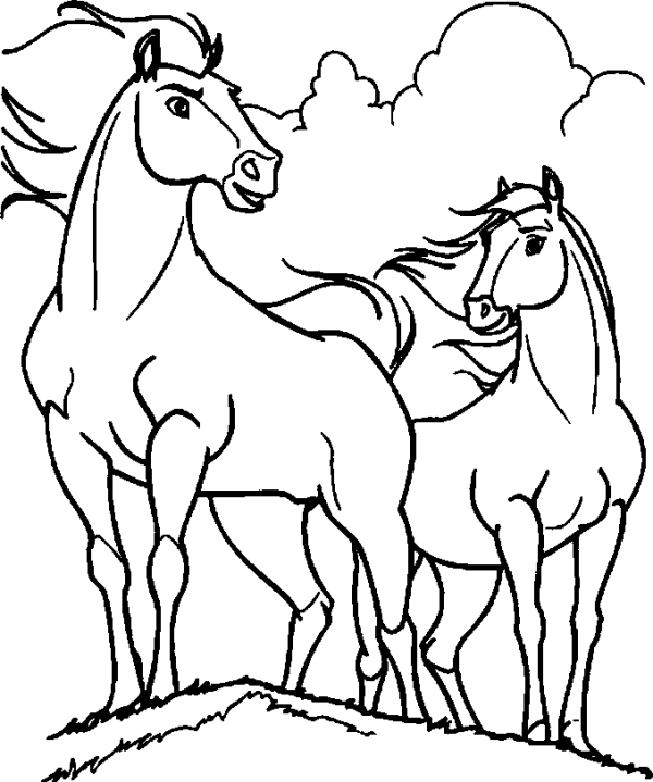 Two Horses