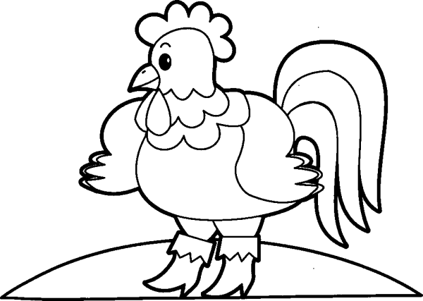 Rooster in Boots