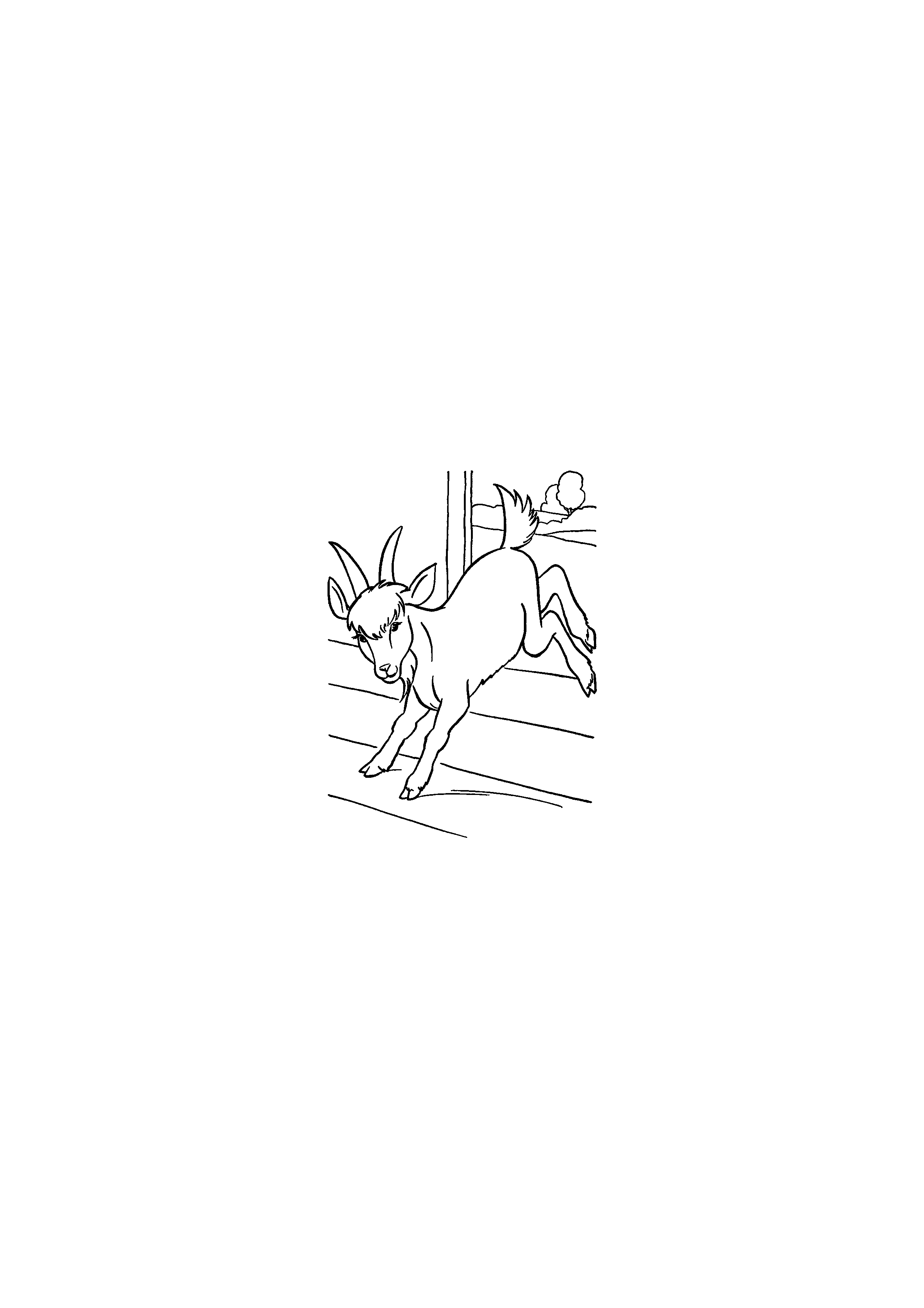 Kid Goat