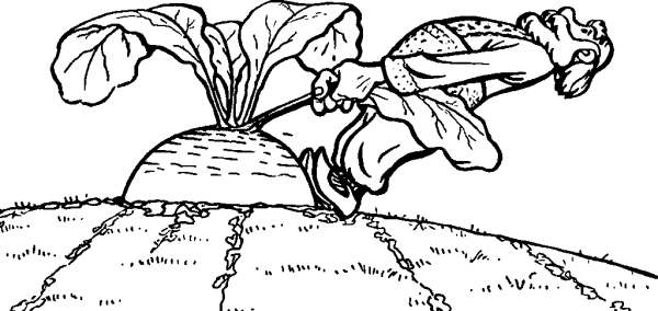 The Turnip 2