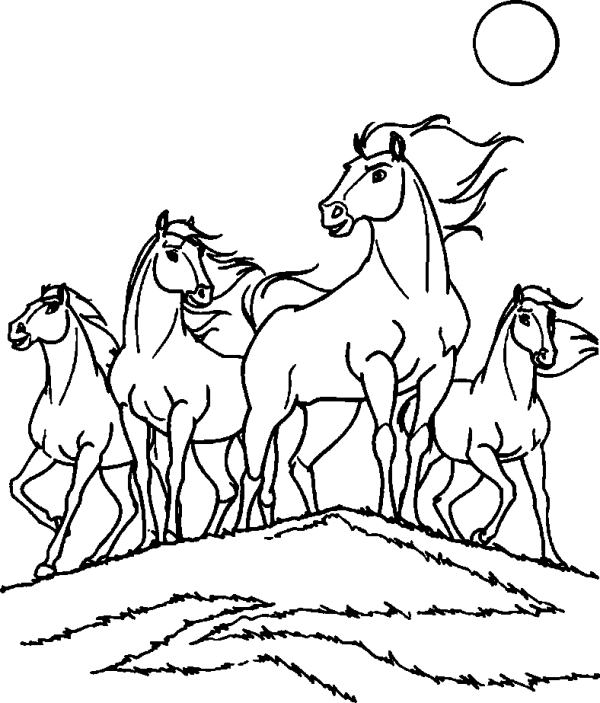 Herd of Horses