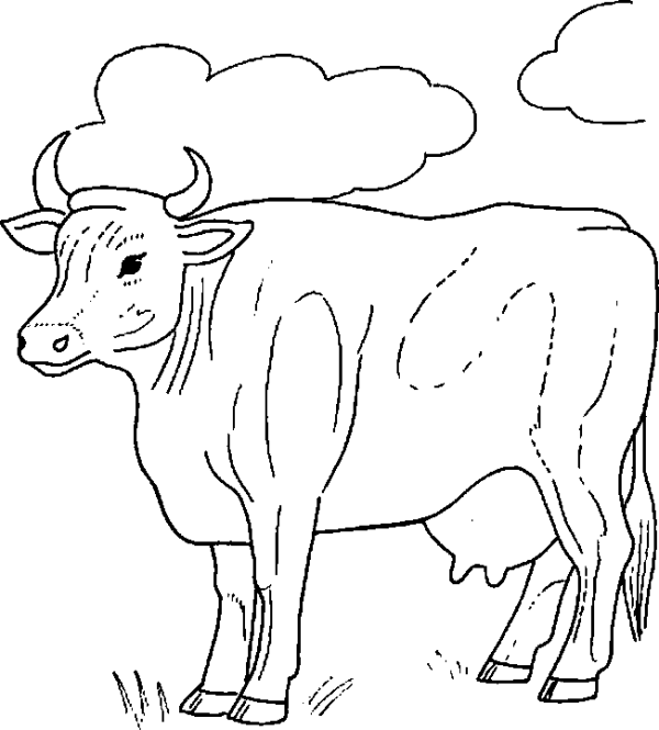 Cow and Clouds