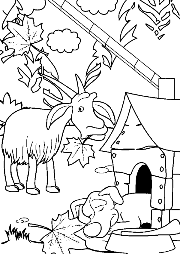 Goat by the Dog House