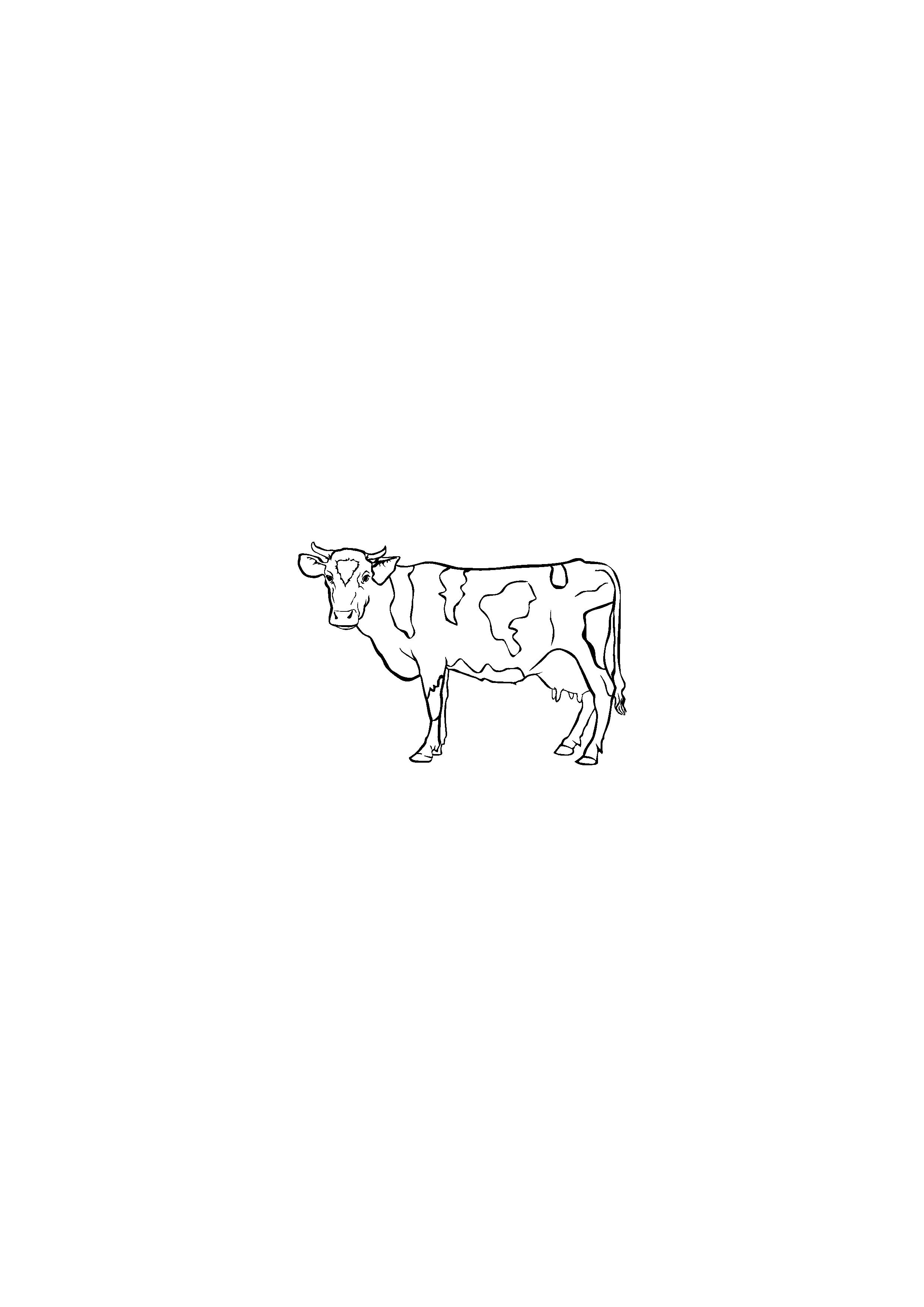 Spotted Cow