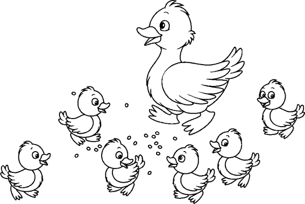 Duck with Ducklings