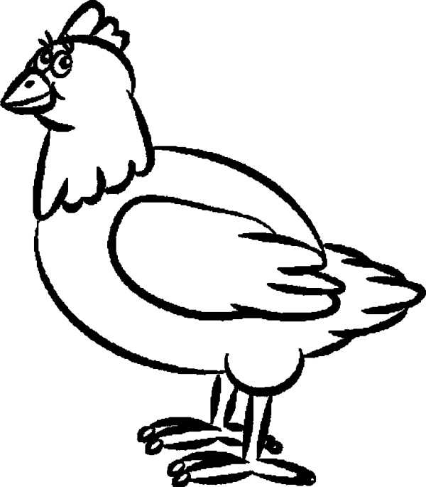 Chicken