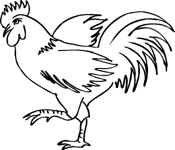Rooster with Raised Leg