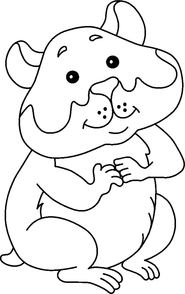 Hamster