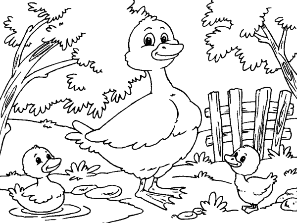 Duck with Ducklings