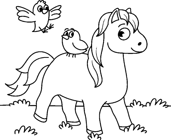 Horse and Two Birds