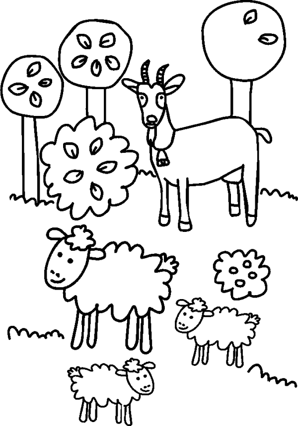 Goat and sheep with lambs grazing in the meadow