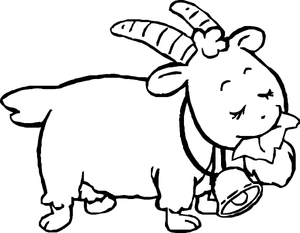 The Bell Goat Kid Chewing a Leaf