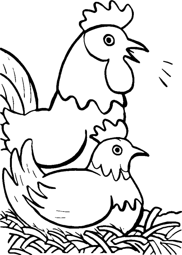 Rooster and Hen