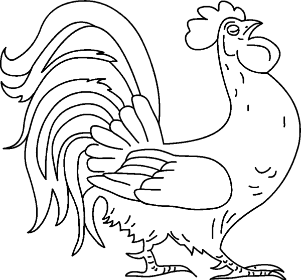 Proud Rooster