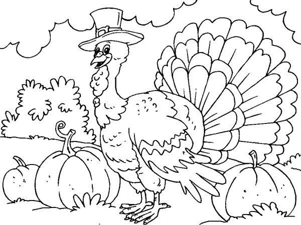 Turkey in a Hat