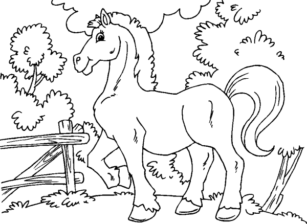 Horse in the Pen