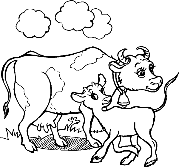 Cow with Calf in the Meadow