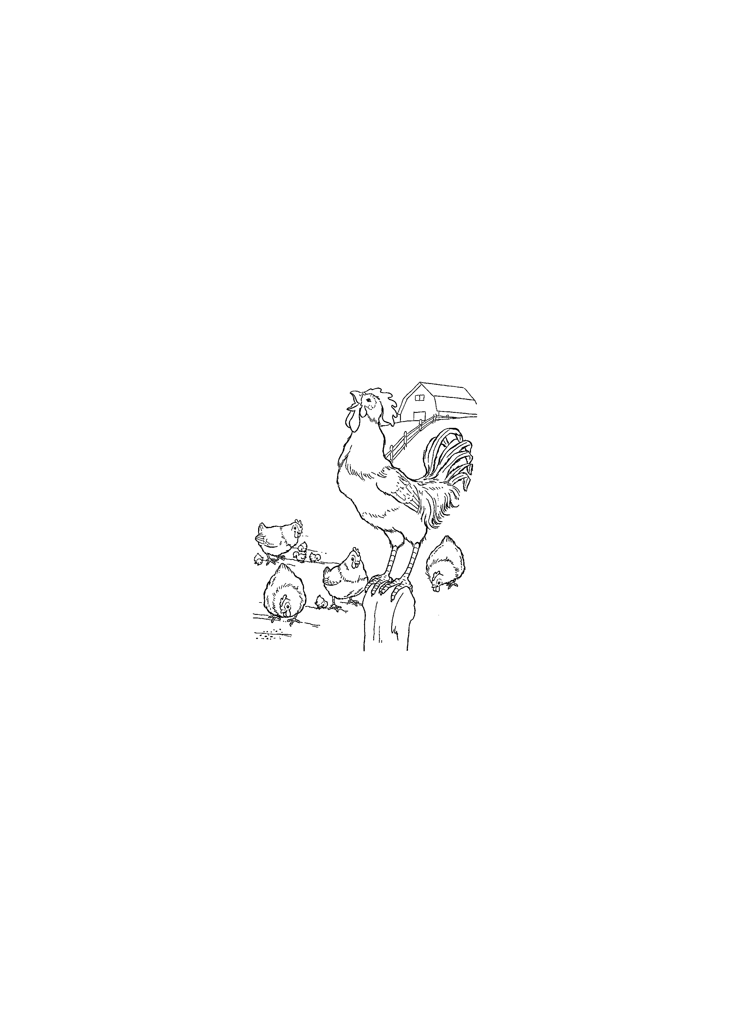Rooster on the Fence and Hens